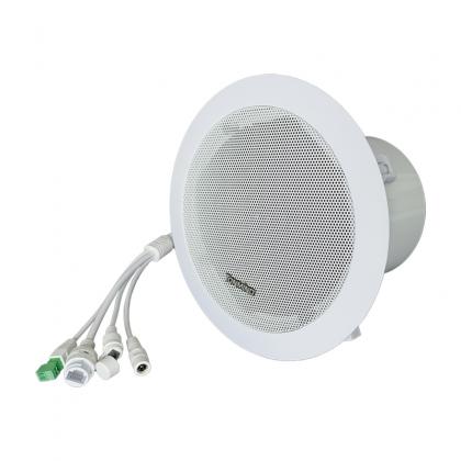 IP Ceiling Speaker